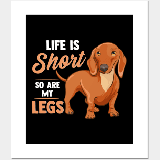 Funny Life Is Short So Are My Legs Dachshund Owner Posters and Art